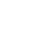 Mr. LAND